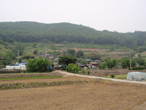 고향떡 이미지