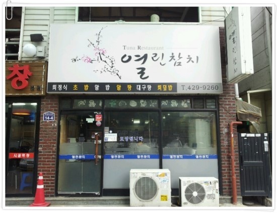 열린참치 이미지