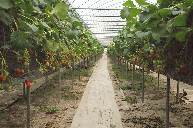 19628F554DA873CD049D90