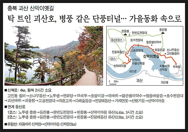 또오옥 이미지