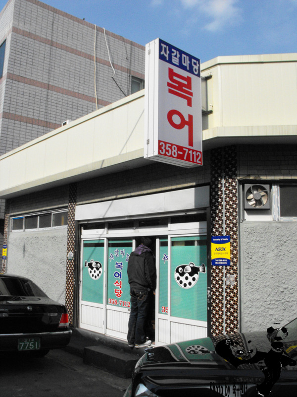 자갈복어 이미지