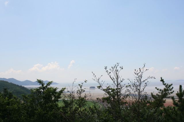 이화우 이미지