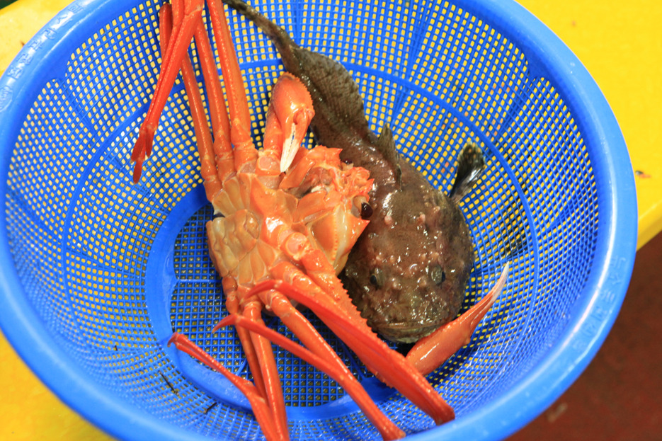 항구상회 이미지