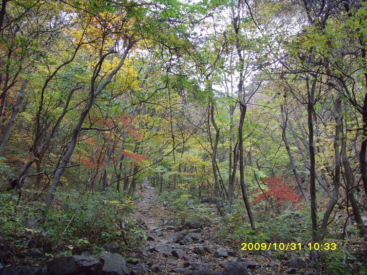 계룡산 