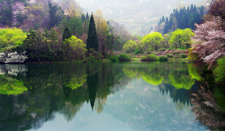 210B6B4F52A50E1C0B8174