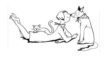 개, 고양이 암을 대하는 우리의 자세