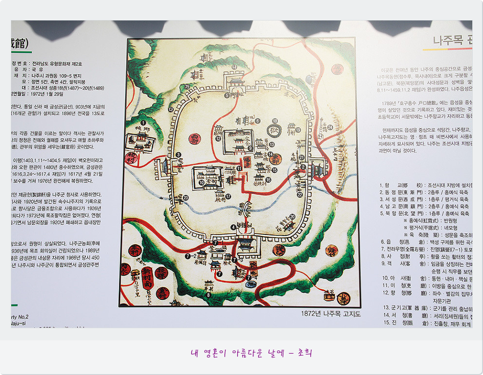금성관광주 이미지