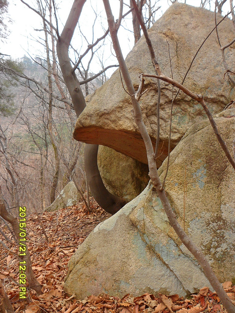 청두리 이미지