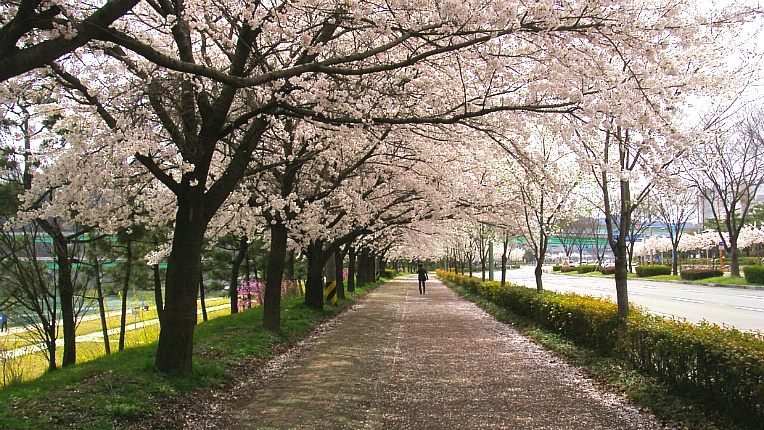 22088B3B551E38A331CD3A