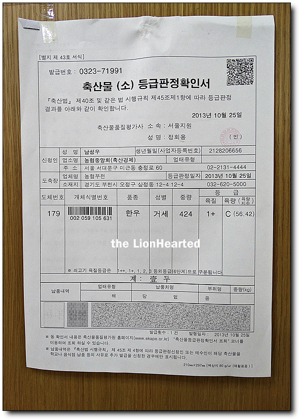 대벌 이미지