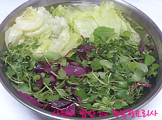 블랙올리브 이미지