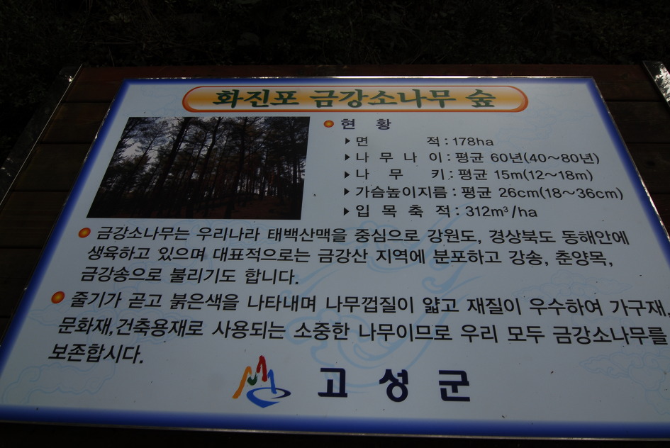 화진포