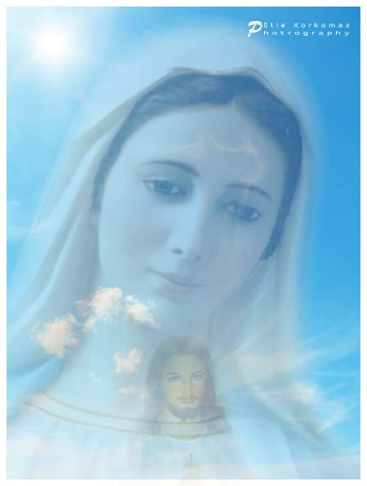 ++    성모님께 드리는 호소  ++