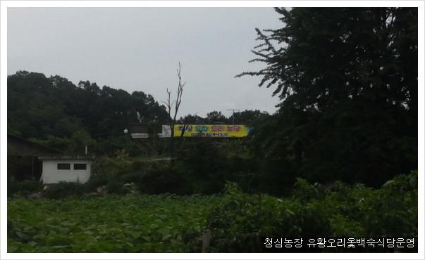 농장자동차공업사 이미지