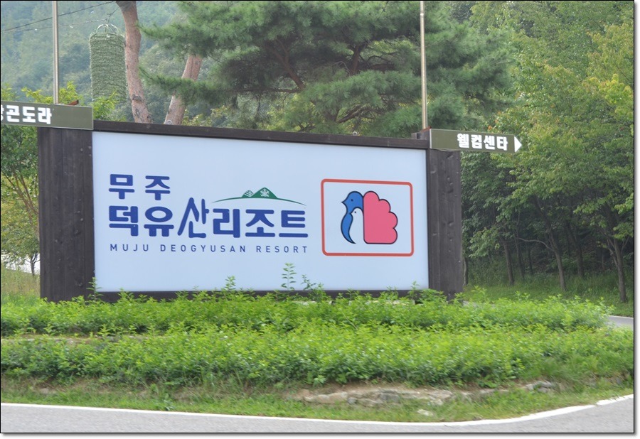 무주구천동매실농장 이미지