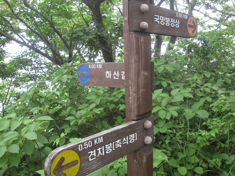한북정맥 2구간 탐방 : 광덕고개-백운산-삼각봉-도마치봉-도마봉-국망봉-견치봉-민둥산-도성고개-연곡4리