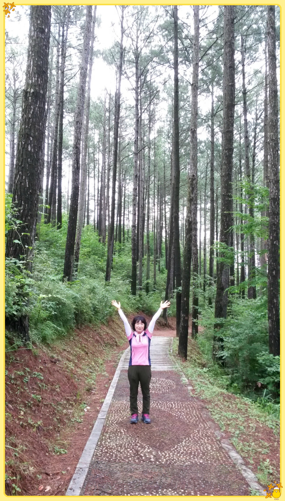 광양 백운산자연수양림에서 ...