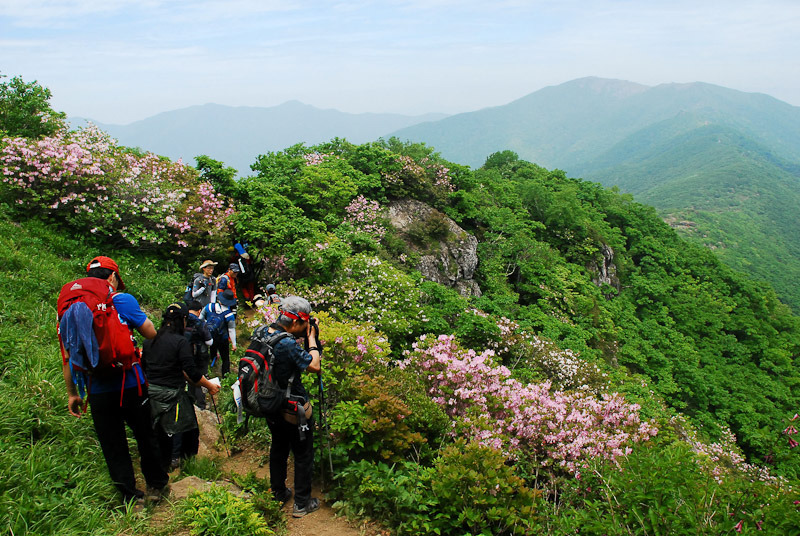 소백산 이미지