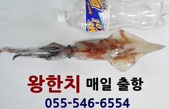 더블클릭을 하시면 이미지를 수정할 수 있습니다