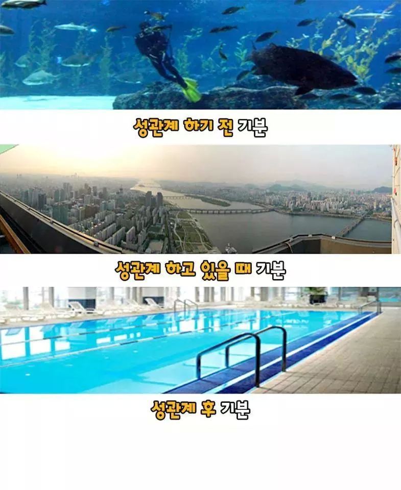 재미있고 간단한 성욕구 성관계 심리테스트