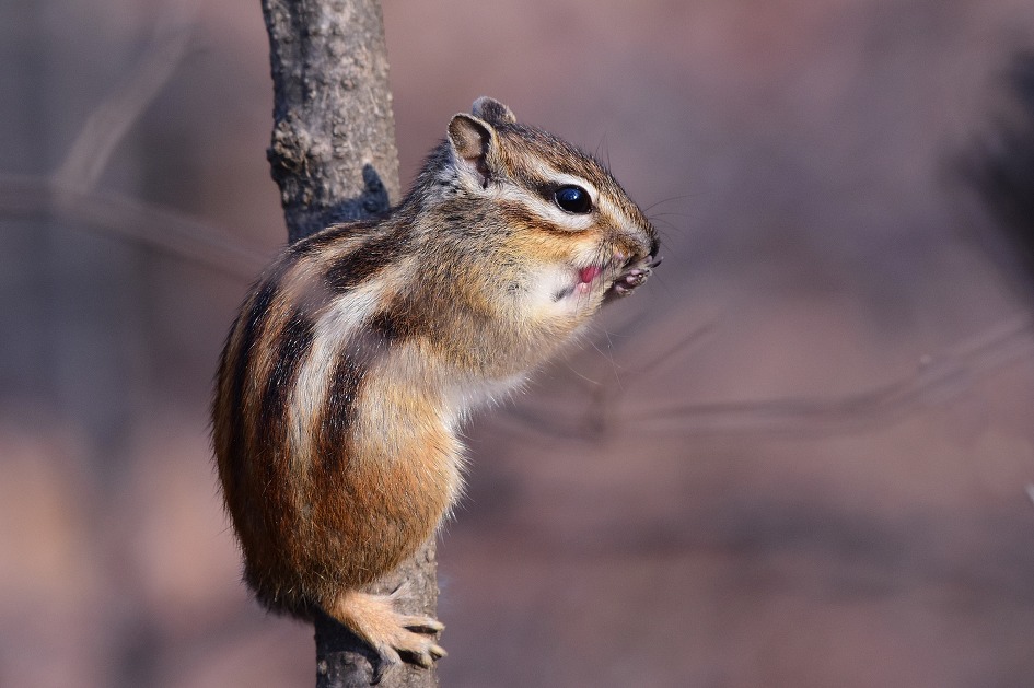짜슥~모델 제대로 해 주네