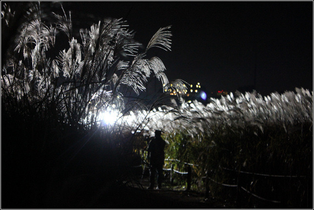 246BF63354476FB6104F7E