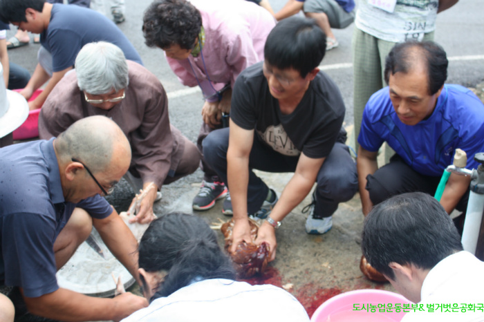 귀농, 도시농부 자연순환유기농업 교육과 윤리 닭 사육, 안전 축산물 생산-1