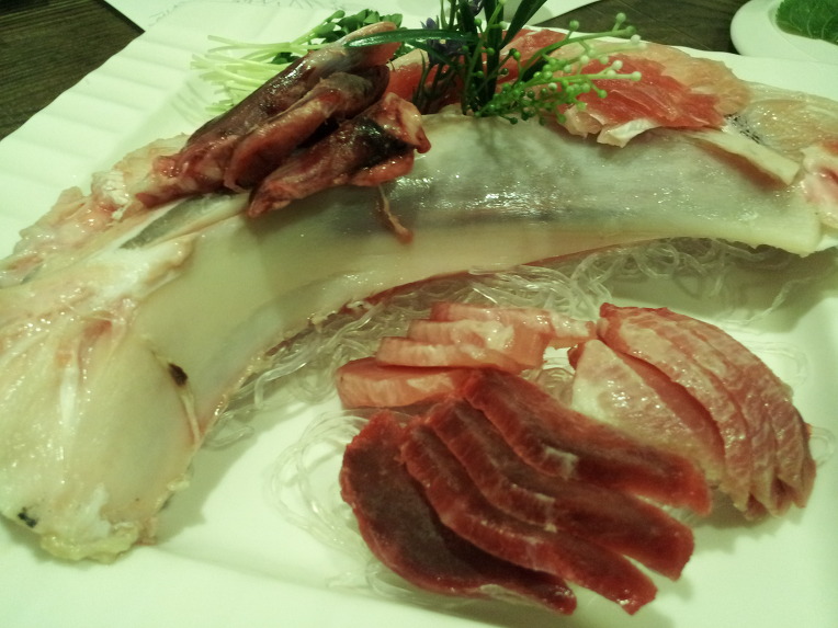 참치스토리 이미지