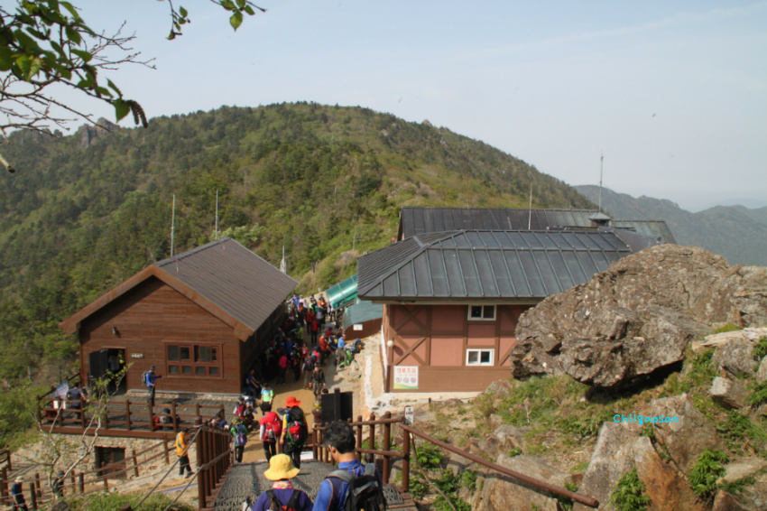 용수산회 이미지