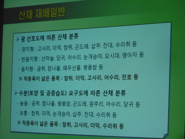 레이호 이미지