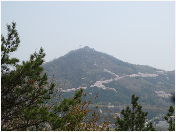 초록숲 이미지