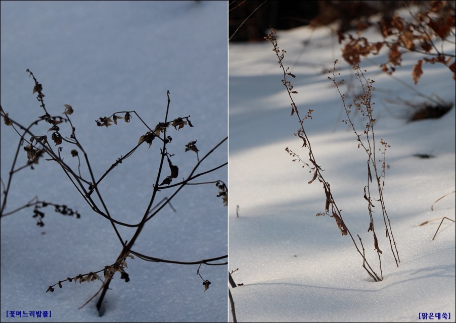 2013.12.21土 산동무와 함께한 고령산 앵무봉 송년 산길....