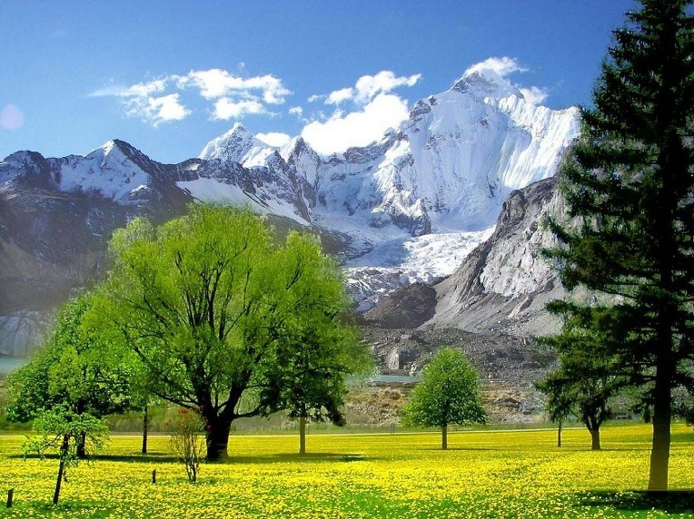 261A7A4D52A50DF70A689D