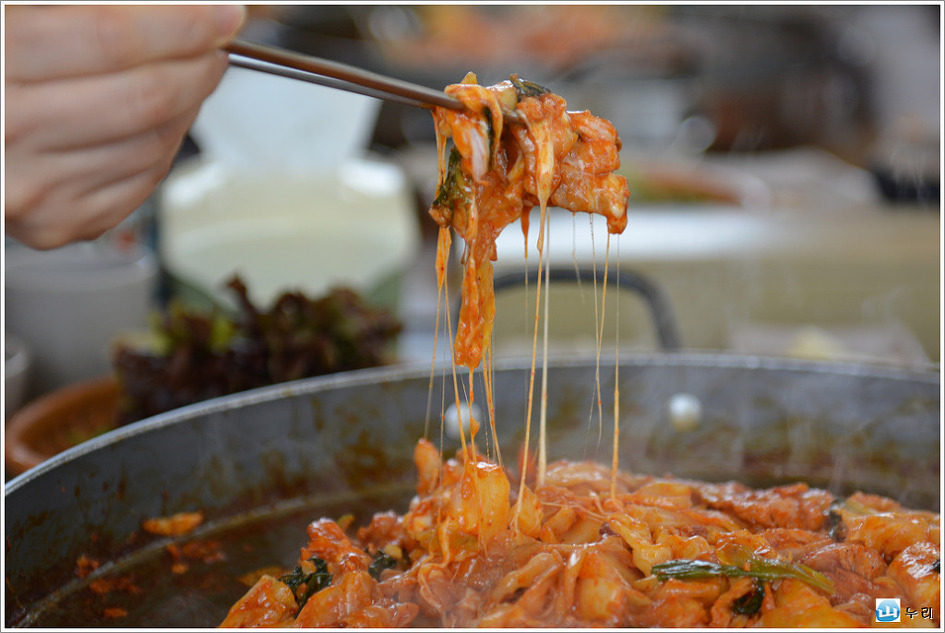 춘천 금병산(16. 2.13)