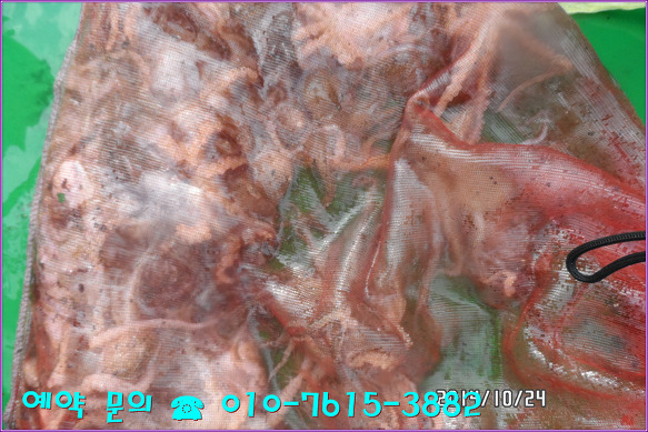 26239436544A3BCE1766EB
