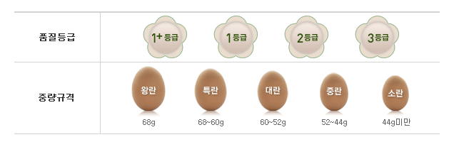싱싱계란 이미지