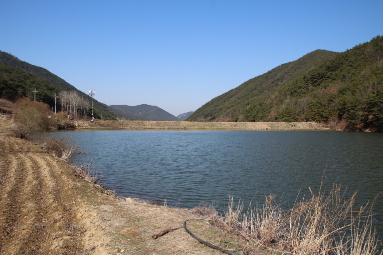 267E8A47533402310D9B66