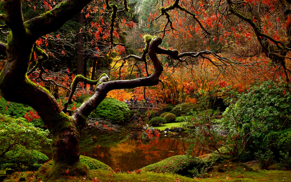 바탕화면(배경화면)으로 사용하기에 좋은 아름다운 정원사진들(Amazing Garden Photos)