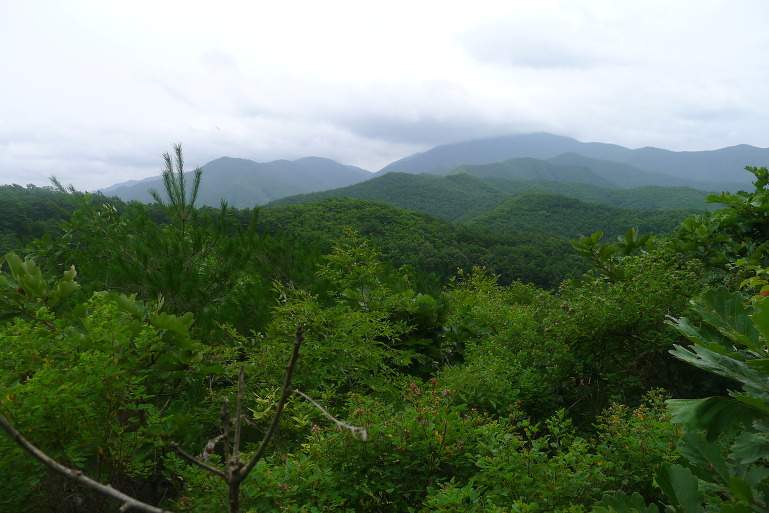 보현, 면봉산 이미지