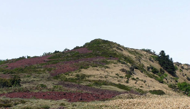 산67번지 이미지