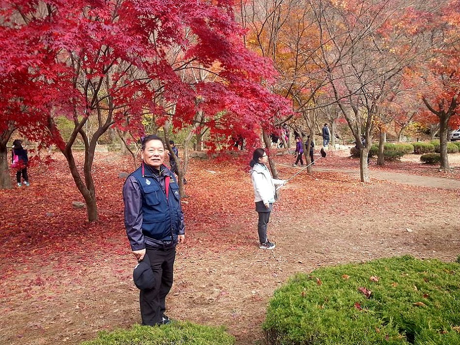 내장산 산행
