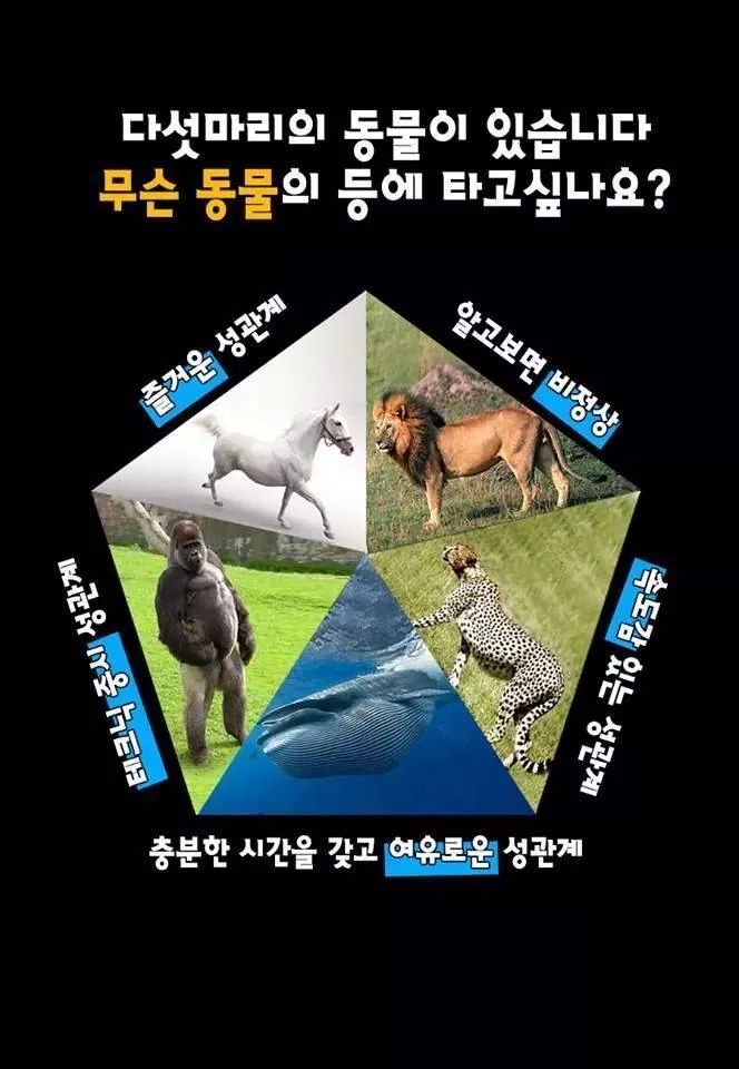 재미있고 간단한 성욕구 성관계 심리테스트