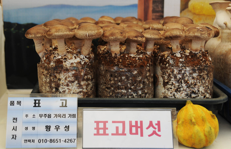 무주농협하나로마트 이미지