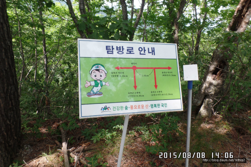 골짜기과일 이미지
