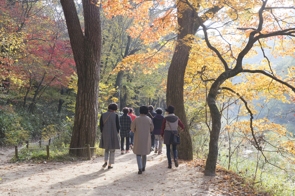 왕을 따라 걷는 길 / 충북 속리산 법주사 세조길
