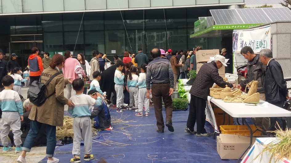 벼농사 수확 체험