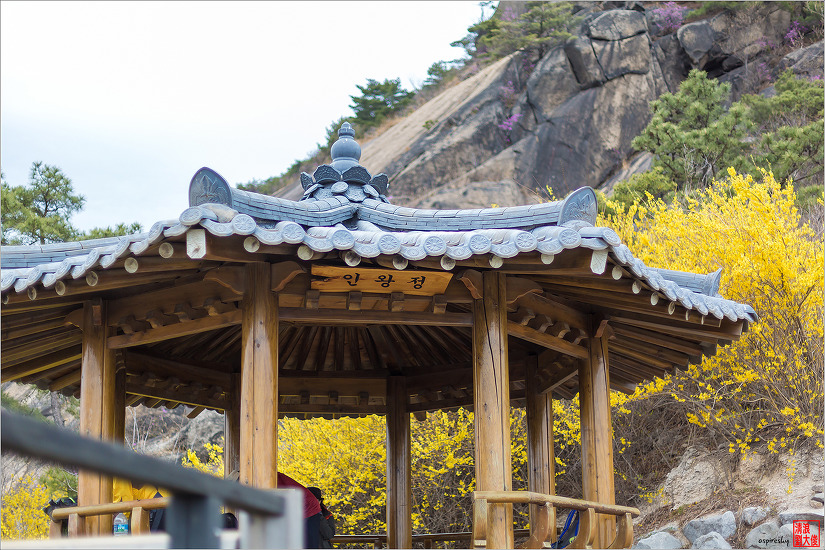 2019.04.09 인왕산 개나리길을 걷다