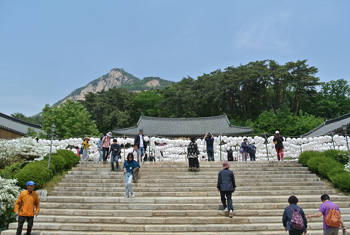 원본이미지(클릭)