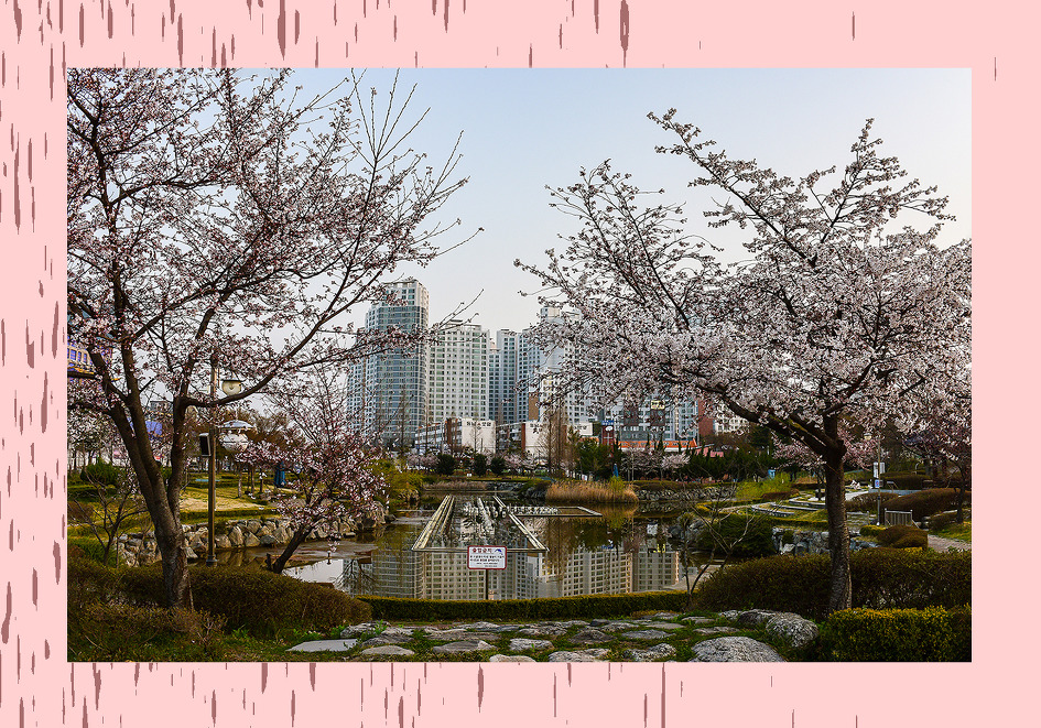 액자에 사진 갈무리