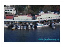 동해 해안길을 따라